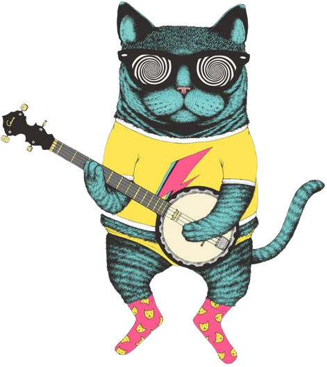 cat playing banjo